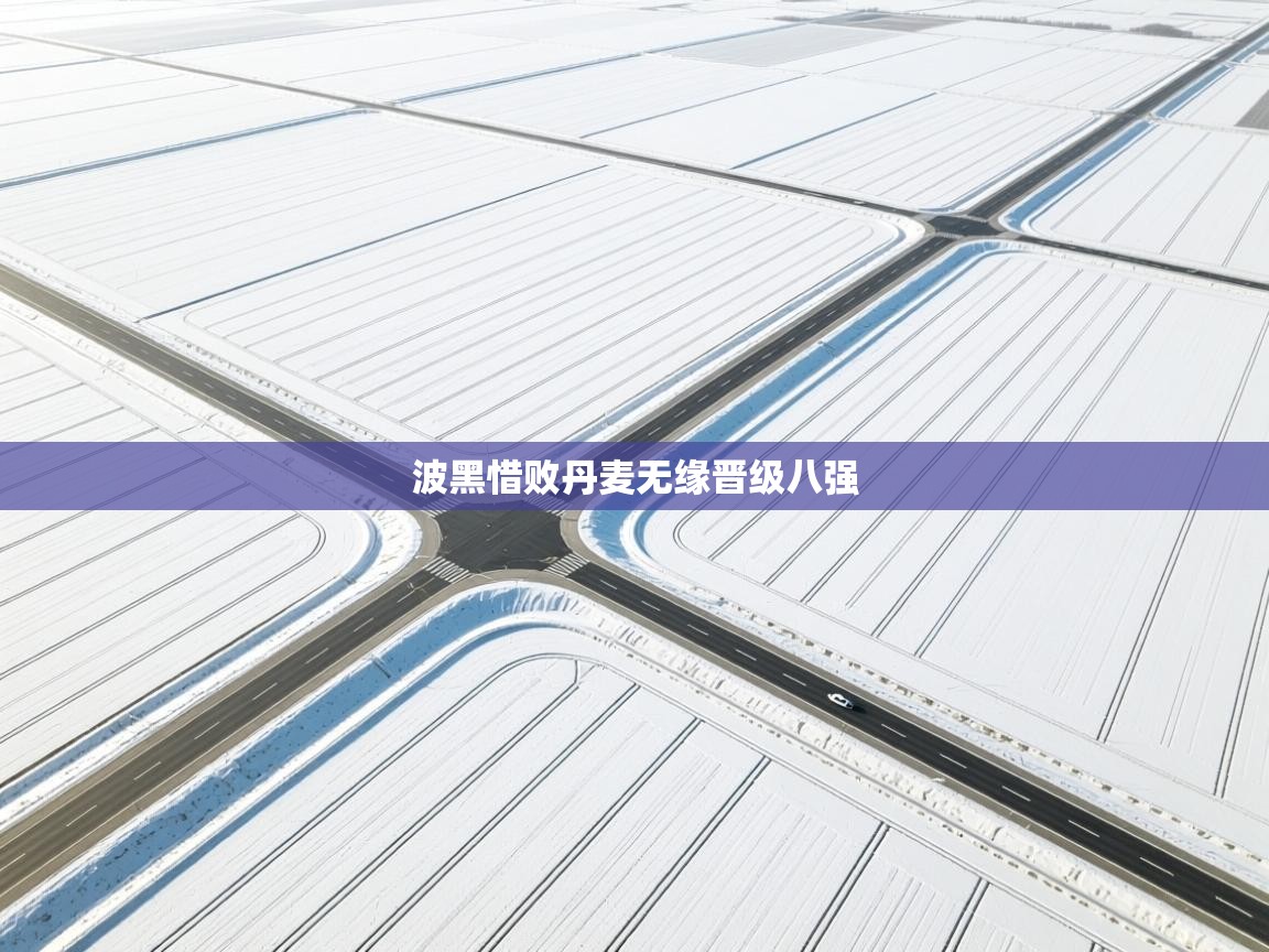 开云体育消息订阅关闭-波黑惜败丹麦无缘晋级八强